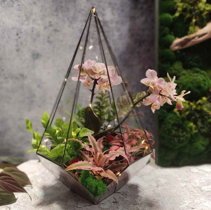 Мастер-класс Флорариум с орхидеей в Москве