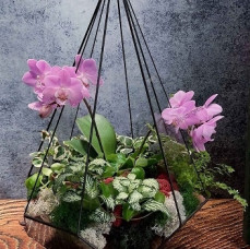 Мастер-класс Флорариум с орхидеей в Москве