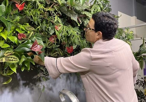 Мастер-класс Фитодизайн помещений в Москве