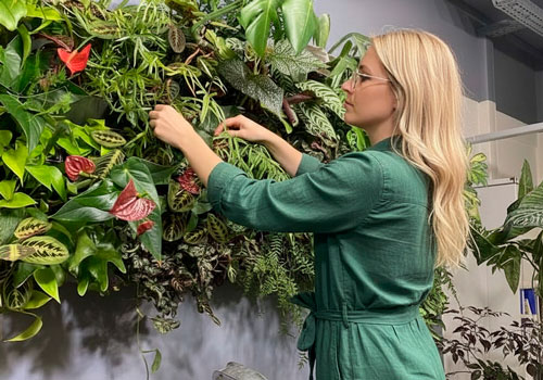 Мастер-класс Фитодизайн помещений в Москве