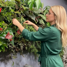 Мастер-класс Фитодизайн помещений в Москве