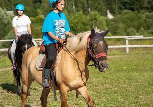 Обучение верховой езде в Москве