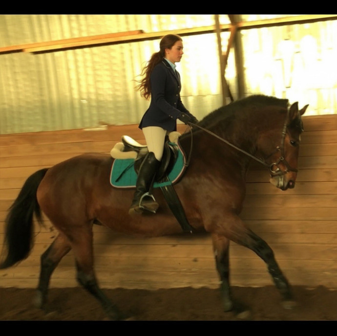 Обучение верховой езде в Москве