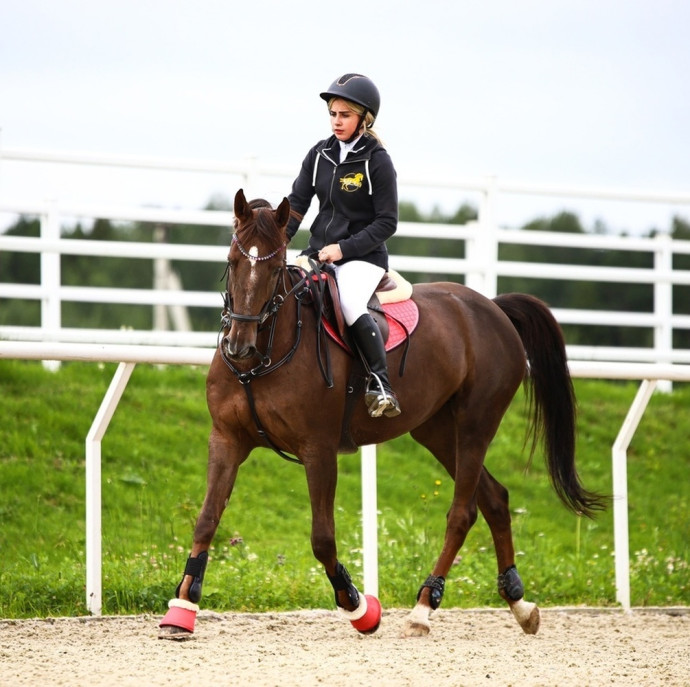Обучение верховой езде в Москве
