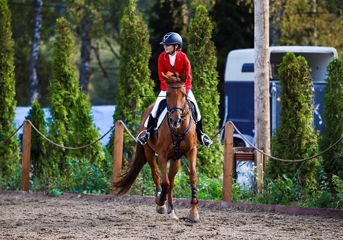Обучение верховой езде в Москве