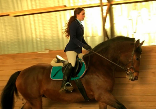 Обучение верховой езде в Москве