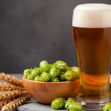 Мастер-класс пивоварение в Москве