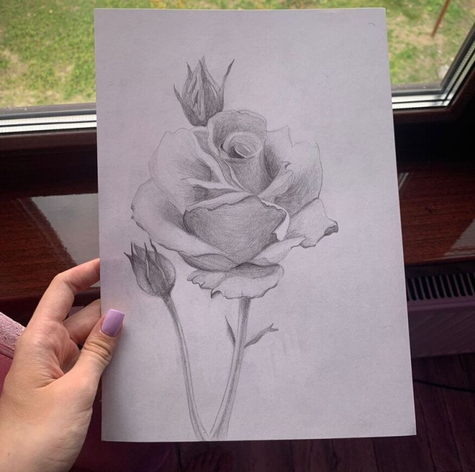 Онлайн курс Основы цветоведения в Москве