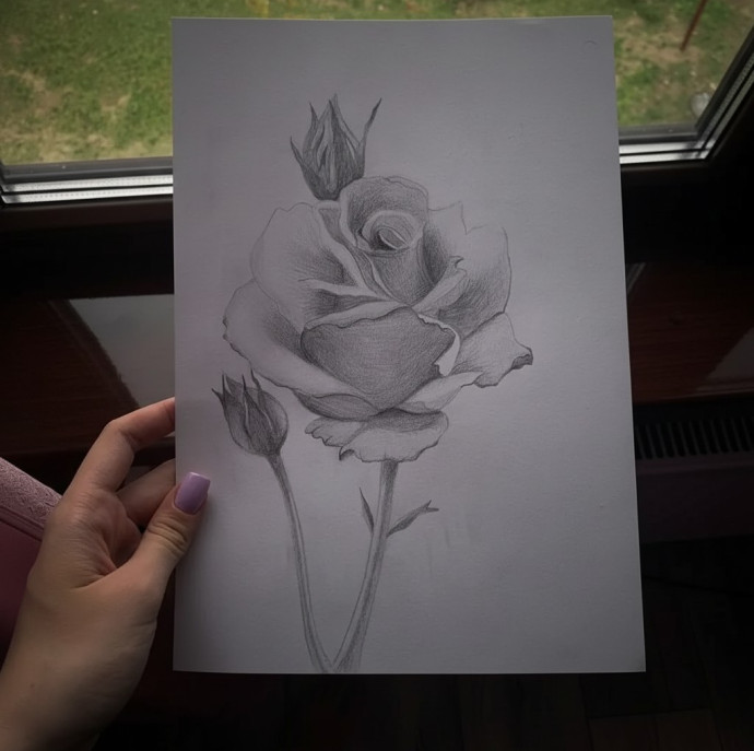 Онлайн курс Основы цветоведения в Москве