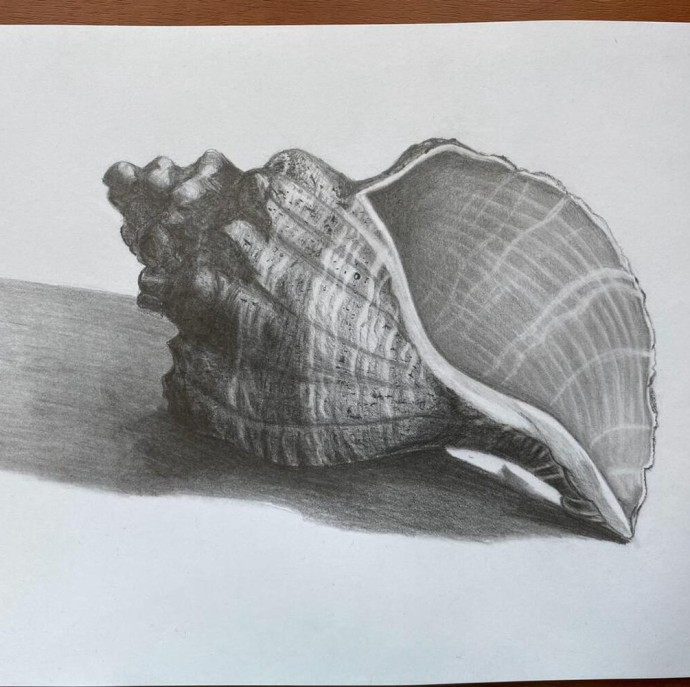 Онлайн курс Основы цветоведения в Москве