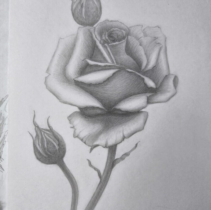 Онлайн курс Основы рисунка в Москве