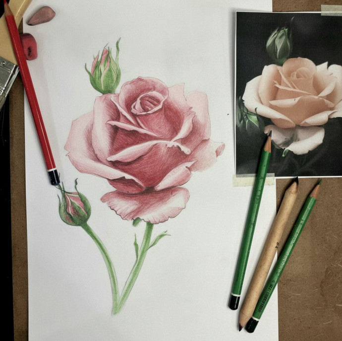 Онлайн курс Основы рисунка в Москве