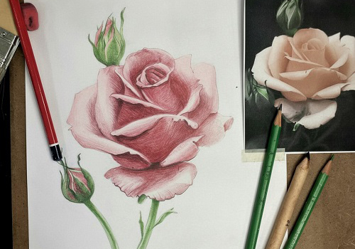 Онлайн курс Основы рисунка в Москве