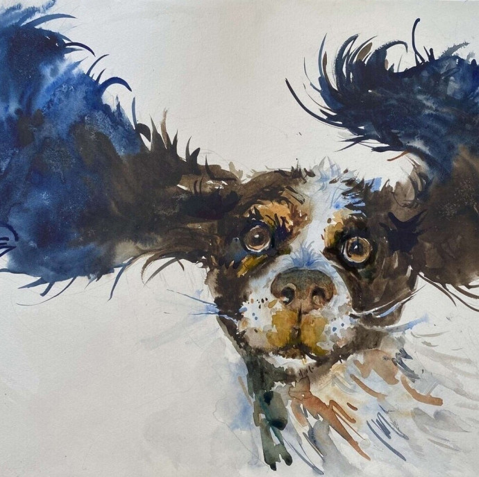 Онлайн курс Портреты животных акварелью в Москве