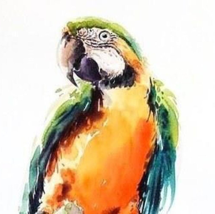 Онлайн курс Портреты животных акварелью в Москве