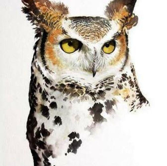 Онлайн курс Портреты животных акварелью в Москве