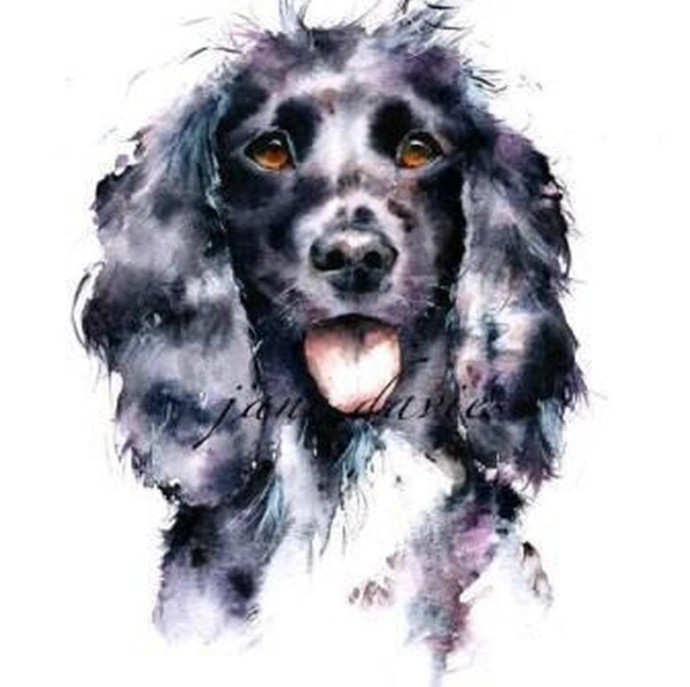 Онлайн курс Портреты животных акварелью в Москве