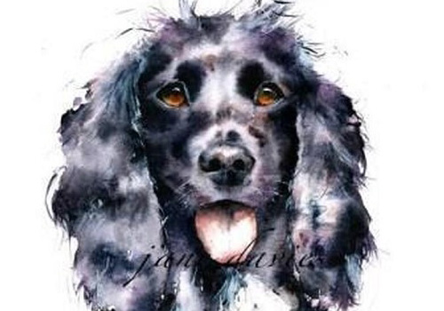 Онлайн курс Портреты животных акварелью в Москве