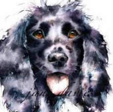 Онлайн курс Портреты животных акварелью в Москве