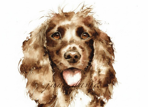 Онлайн курс Портреты животных акварелью в Москве