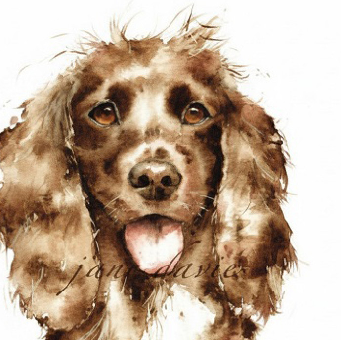 Онлайн курс Портреты животных акварелью в Москве