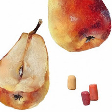 Онлайн курс Основы сухой пастели в Москве