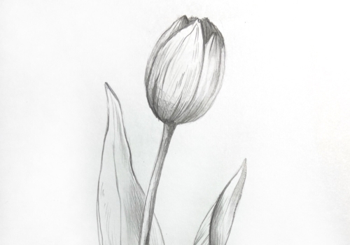 Онлайн курс Скетчинг акварелью для начинающих в Москве