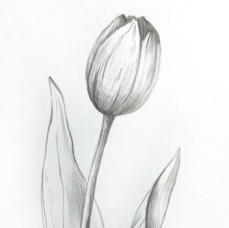 Онлайн курс Скетчинг акварелью для начинающих в Москве