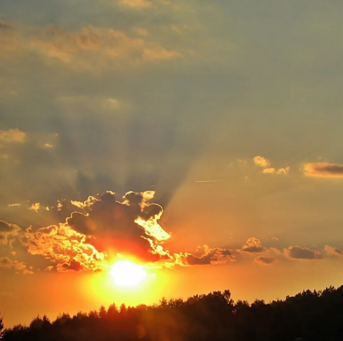 Онлайн курс Пейзажи Живопись маслом в Москве