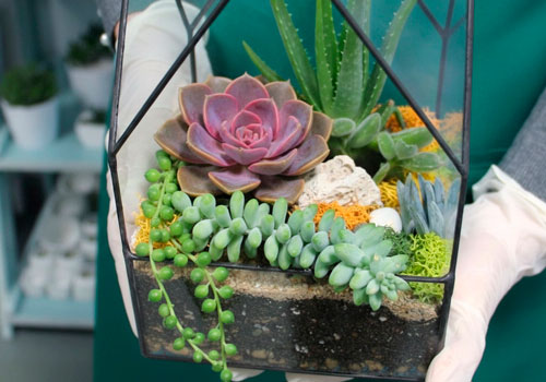 Мастер-класс Геометрическая оранжерея: Мини Чаша/Бриллиант/Венера в Москве