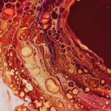 Мастер-класс по флюид арту в Москве