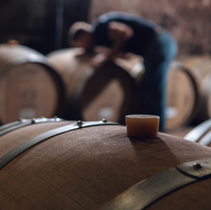 Академия вина и кофе в Москве