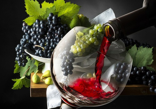 Академия вина и кофе в Москве