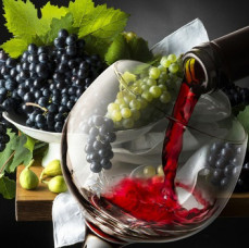 Академия вина и кофе в Москве