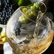 Академия вина и кофе в Москве