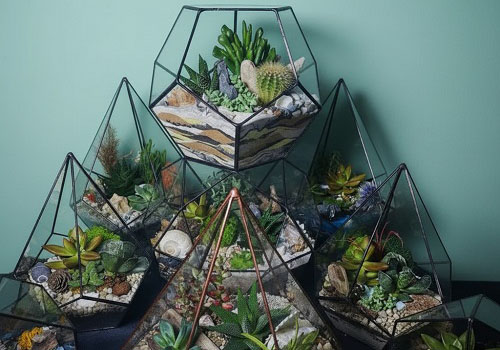 Мастер класс Флорариум в Москве