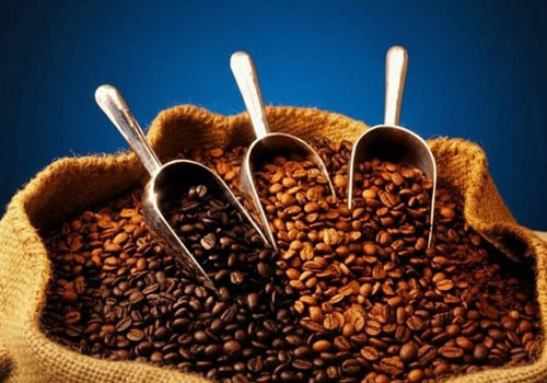 МК Все о кофе! в Москве