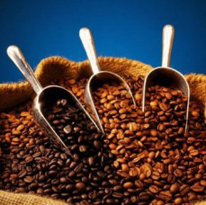 МК Все о кофе! в Москве