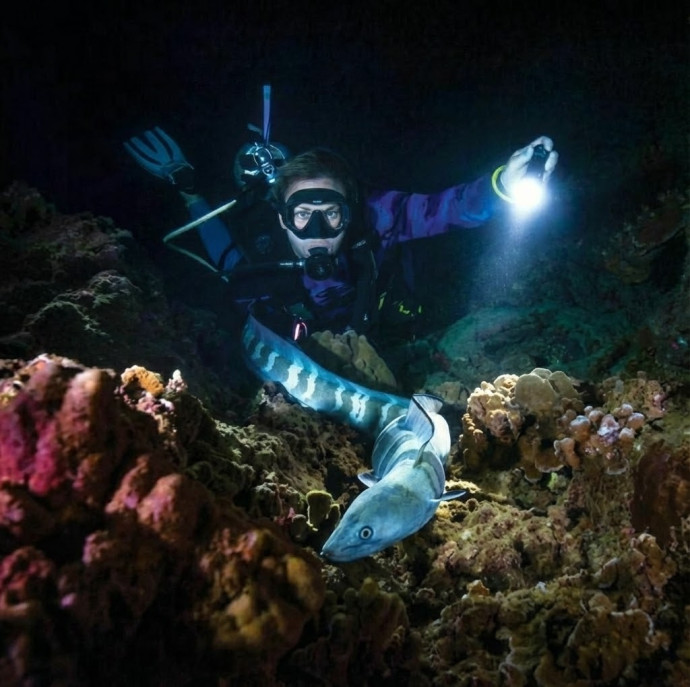Пробное погружение с аквалангом в Москве