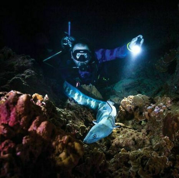 Пробное погружение с аквалангом в Москве