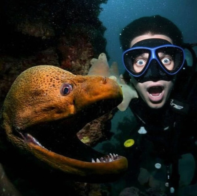 Пробное погружение с аквалангом в Москве