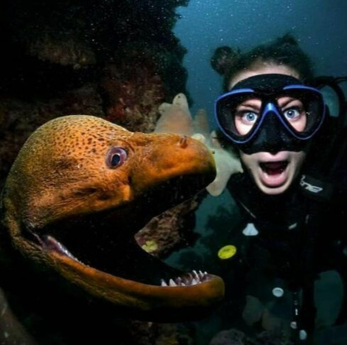 Пробное погружение с аквалангом в Москве