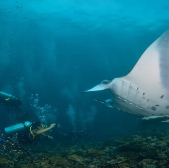 Начальный курс обучения дайвингу в Москве