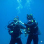 Пробное погружение Курс PADI Discover Scuba Diving в Москве