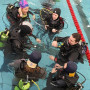 Начальный курс дайвинга PADI Open Water Diver (referral) в бассейне в Москве