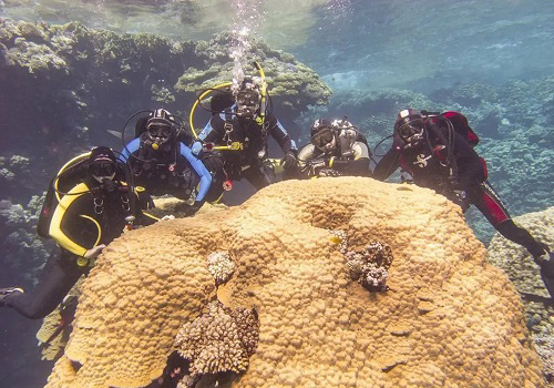 Пробное погружение с выдачей сертификата в Москве