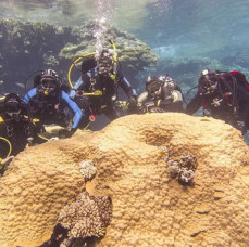Пробное погружение с выдачей сертификата в Москве