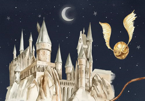 Курс Мир Гарри Поттера в Москве