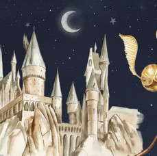 Курс Мир Гарри Поттера в Москве