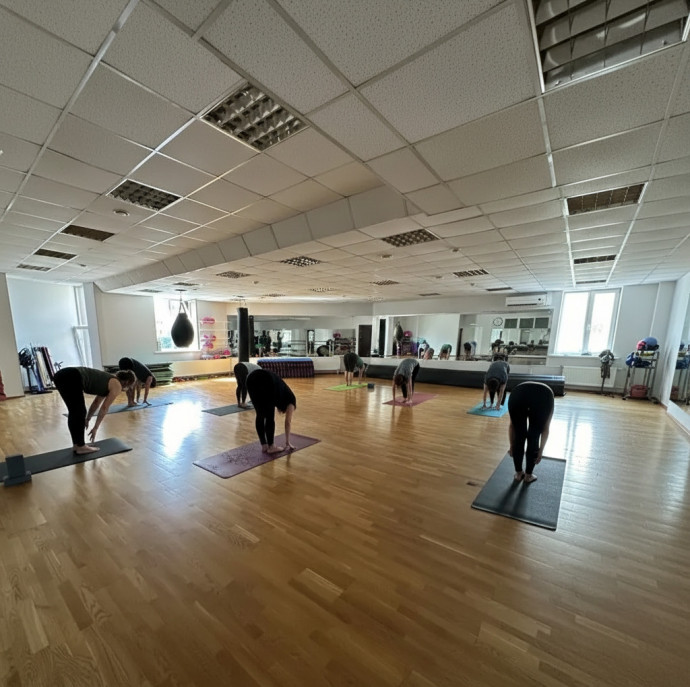 Онлайн занятия по Хатха-Йога в Москве